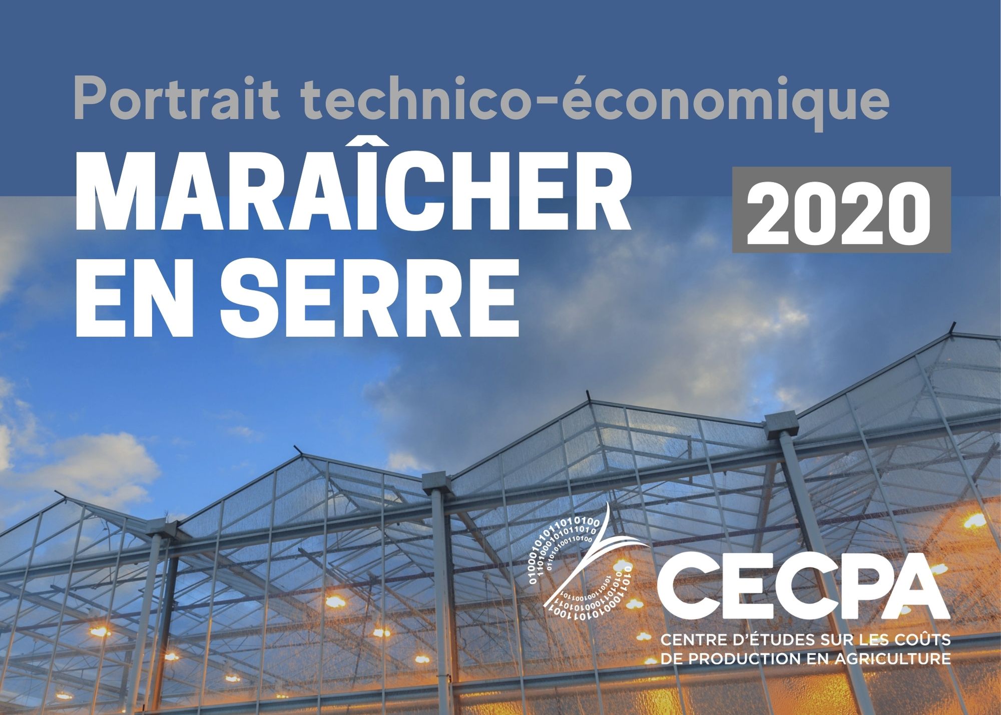 Inf. complémentaires : Portrait technico-économique - Maraîcher en serre 2020